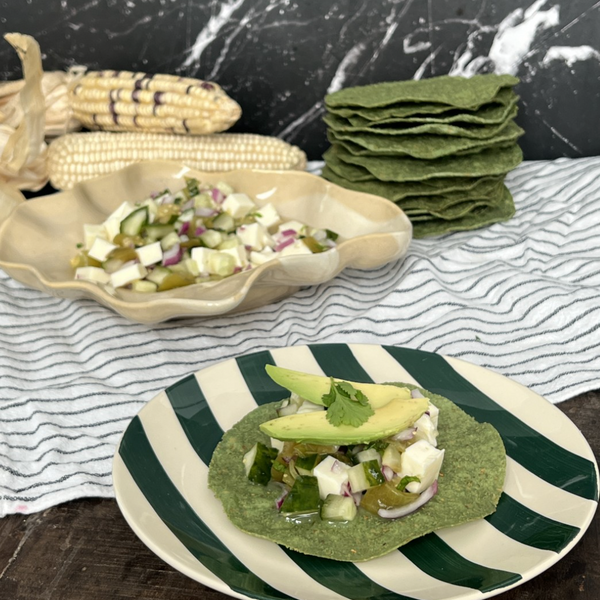 Ceviche de queso panela: frescura y tradición en cada bocado
