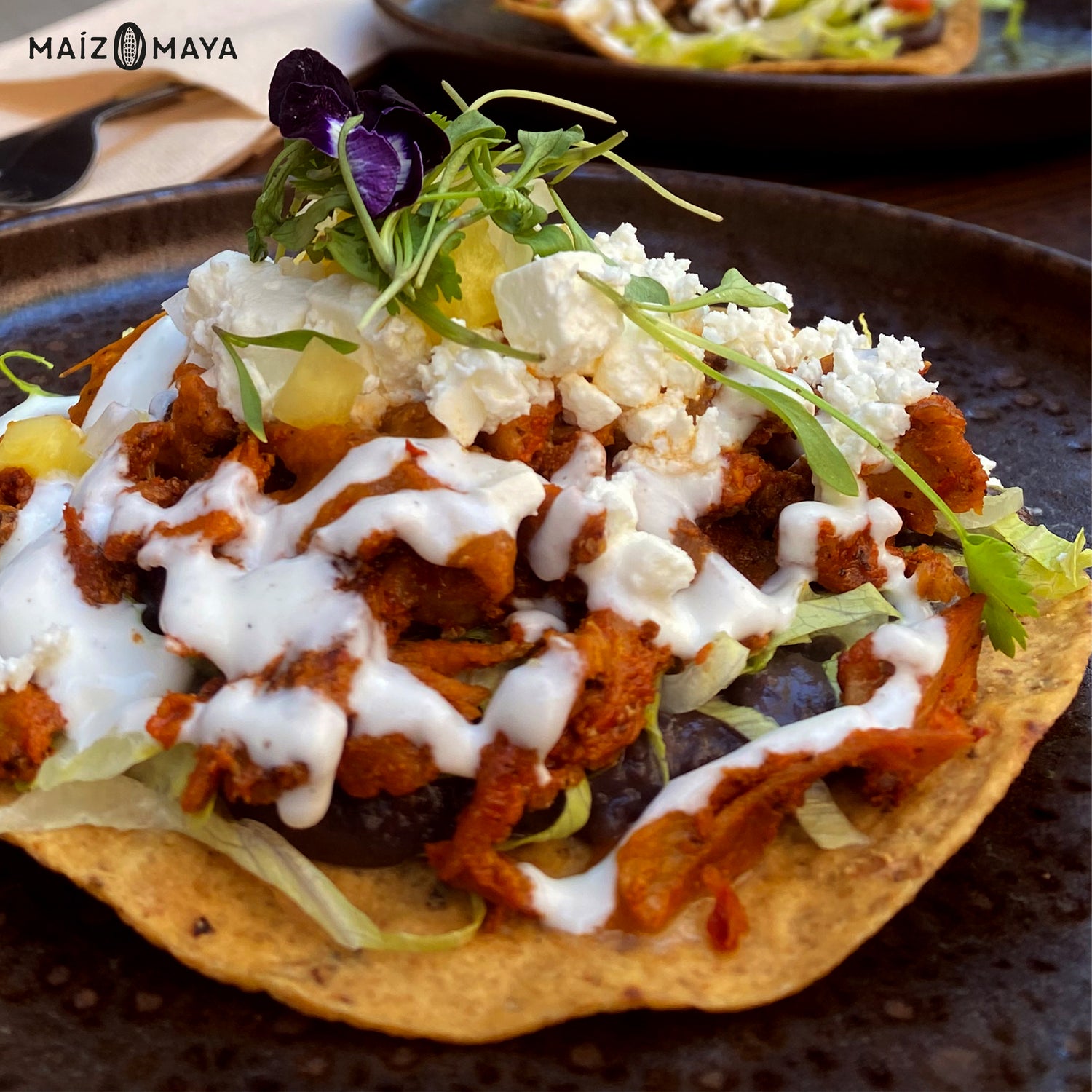 Tostadas Artesanales 10 uds - 137 g - Maíz Maya - Tortillas Maya