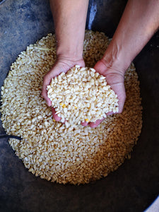 Tortillas de maíz blanco nixtamalizado 13 cm (250gr)